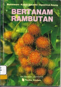 Bertanam Rambutan