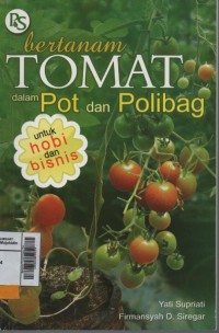 Bertanam Tomat Dalam Pot dan Polibag