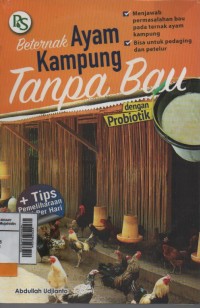 Image of Beternak ayam kampung tanpa bau dengan prebiotik