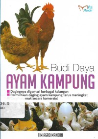 Budi Daya Ayam Kampung