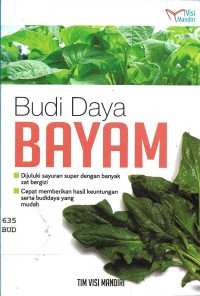 Budi Daya Bayam