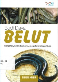 Budi Daya Belut