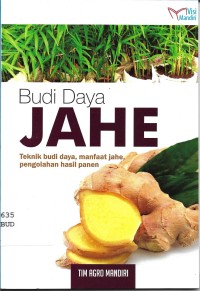 Budi Daya Jahe