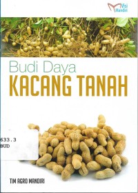 Budi Daya Kacang Tanah