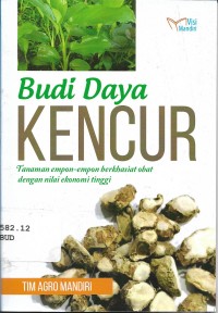 Budi Daya Kencur