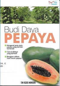 Budi Daya Pepaya