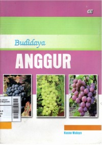 Budidaya anggur