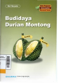 Budidaya durian montong