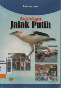 Budidaya jalak putih