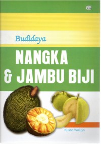 Budidaya nangka dan jambu biji