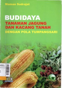 Budidaya tanaman jagung dan kacang tanah dengan pola tumpangsari