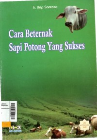 Cara beternak sapi potong yang sukses