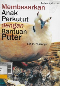 Image of Membesarkan anak Perkutut ddengan bantuan Puter