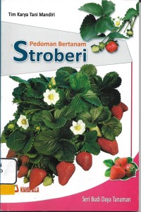 Pedoman Bertanam stroberi