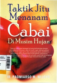 Taktik jitu menanam cabai di musim hujan