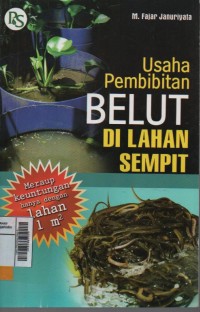 Usaha Pembibitan Belut di Lahan Sempit